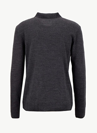 Limon Polo Yaka Basic Düz Antrasit Erkek Kazak MML5WM-KZK9528