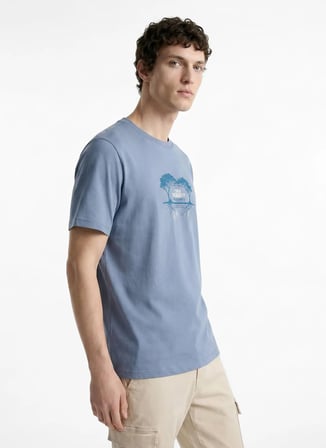 Discovery Expedition Gri Erkek  T-Shirt D6SU-TST3100