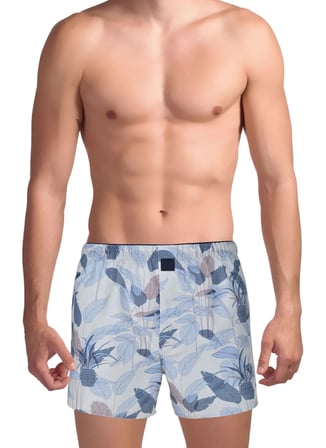 The Don Gri - Çok Renkli Erkek Desenli Boxer TDNPOP125