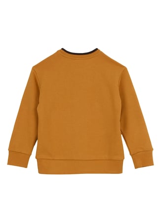 Discovery Expedition Turuncu Erkek Çocuk Bisiklet Yaka Baskılı Sweatshirt D6WB-SWT3037