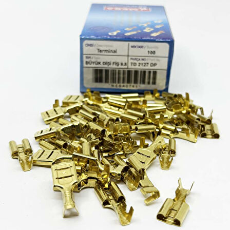 Büyük Dişi Fiş 100 lük TD 2127