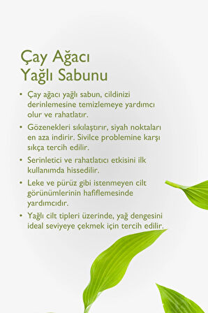 Çay Ağacı Yağlı Sabun 125gr