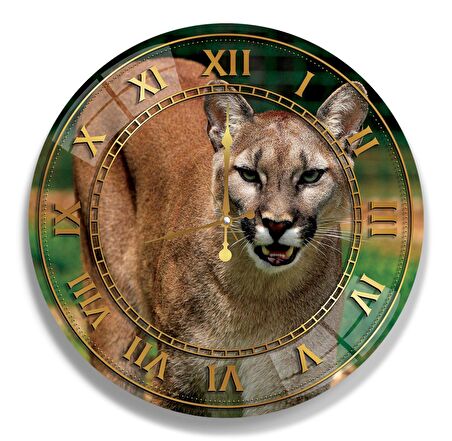  Puma Cam Saat - 40 cm