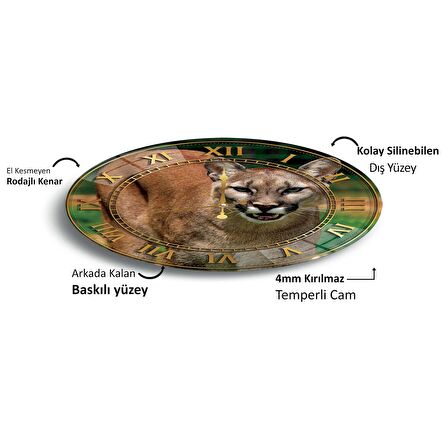  Puma Cam Saat - 60 cm