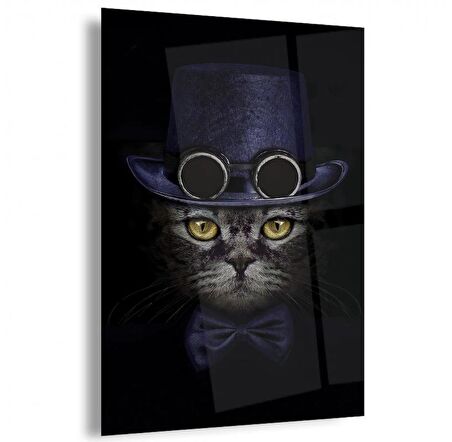 Kedi Cam Tablo