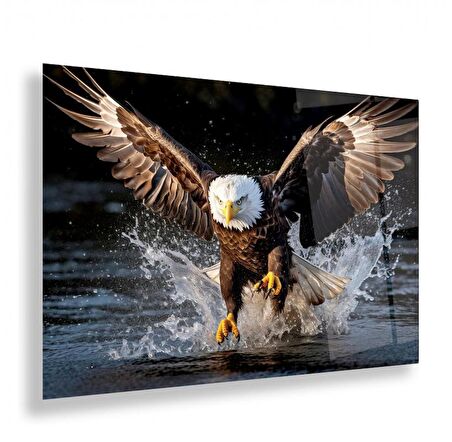 Kartal Cam Tablo