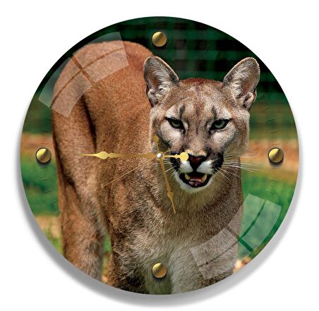 Puma Cam Saat - 40 cm