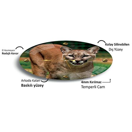 Puma Cam Saat - 40 cm