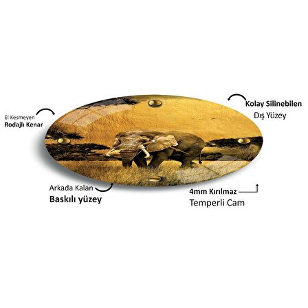 Gold Fil Cam Saat - 40 cm