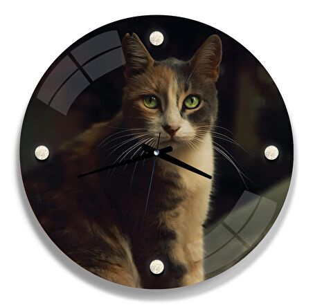 Kedi Cam Saat - 60 cm