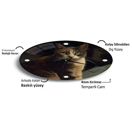 Kedi Cam Saat - 60 cm