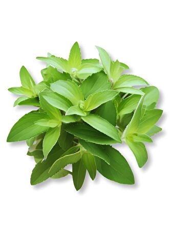 Vahaa Stevia Kiti