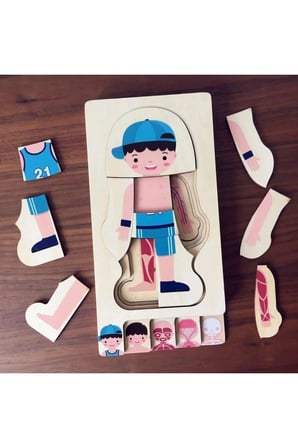 Montessori Waldorf Öğrenme Ahşap Erkek Insan Vücudu Anatomisi Puzzle