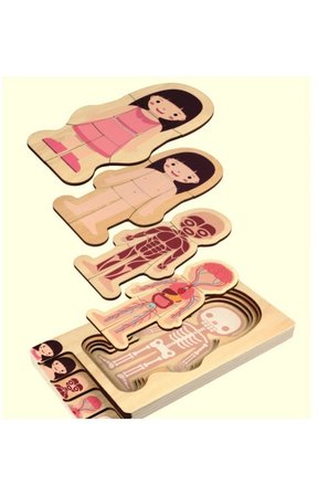 Waldorf Kız Insan Vücudu Iskelet Yapısı Ahşap Renkli Yapboz Puzzle