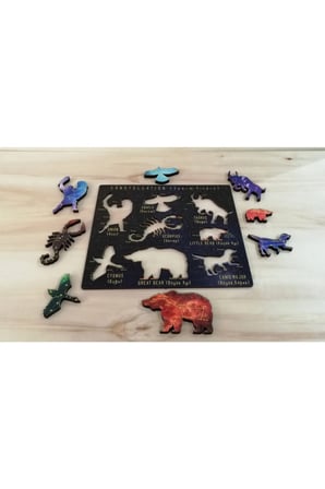 Montessori Doğal Ahşap Renkli Takım Yıldızları Eğitici Oyun Seti Puzzle