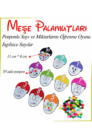 Ponponlu Meşe Palamudu Sayı ile Değerlerini, renkleri ve İngilizce Sayıları Öğrenme Oyunu
