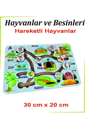 Hayvanlar ve Besinleri Beyaz Hareketli Hayvanlar İngilizce