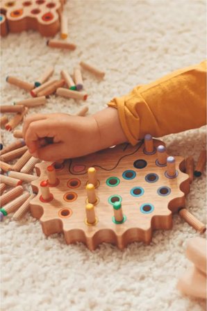 Montessori Ahşap Duyusal Eğiti Oyuncak renk eşleştirmeli pim takmalı kirpi