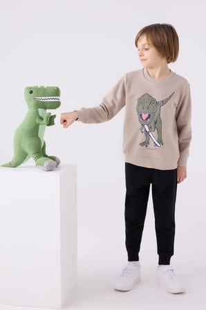 Rolypoly Erkek Çocuk Eşofman Takımı RP3430 Kum