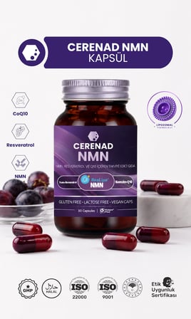 Cerenad Lipozomal Nmn, Resveratrol, Coq10, Çinko Ve C Vitamini Içeren Takviye Edici Gıda