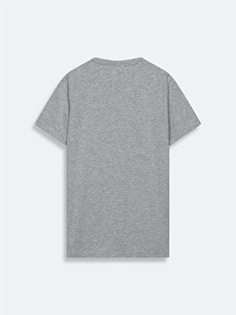 Gri T-shırt