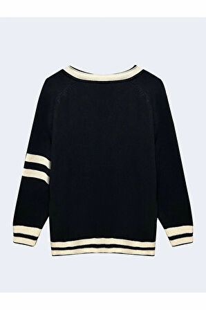 Ltb Sanepa Erkek Hırka