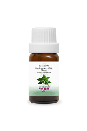 PROCLİS Çay Ağacı Yağ, %100 Doğal Uçucu Yağ, Tea Tree Oil 10 ml Sprey Başlıklı
