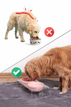 2'li Seramik Dekoratif Kedi Ve Köpek Pleksi Mama & Su Kabı Paspas Pembe