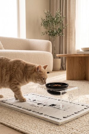 Tekli Dekoratif Kedi Ve Küçük Irk Köpekler İçin Mama Veya Su Kabı Paspas Hediyeli