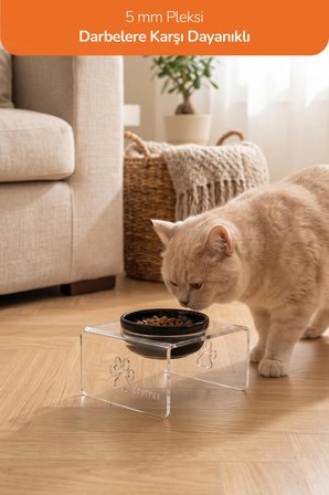 Tekli Dekoratif Kedi Ve Küçük Irk Köpekler İçin Mama Veya Su Kabı Paspas Hediyeli