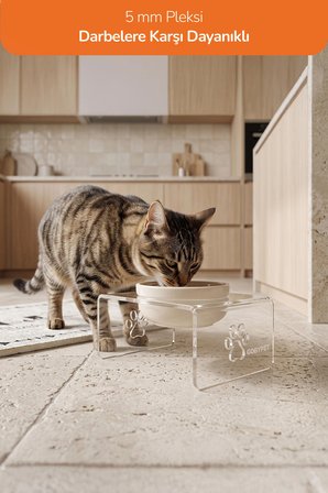 Tekli Dekoratif Kedi Ve Küçük Irk Köpekler İçin Mama Veya Su Kabı Paspas Hediyeli