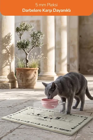 Tekli Dekoratif Kedi Ve Küçük Irk Köpekler İçin Mama Veya Su Kabı Paspas Hediyeli