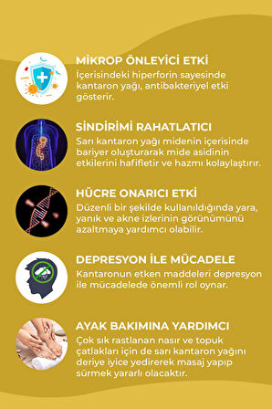 Akne Seti - Çay Ağacı Yağı 10 ml, Sarı Kantaron Yağı 50 ml 2'li Set