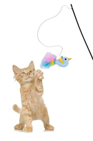 Tüylü Kedi Oltası, Peluş Mavi  Kuşlu Kedi Oyun Oltası