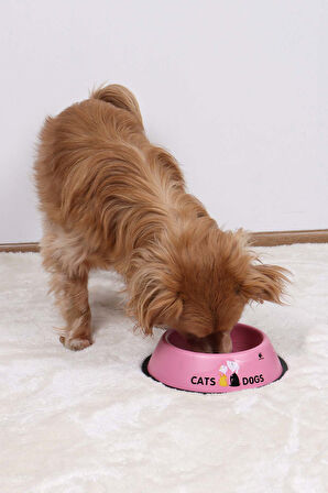 RENKli Metal Mama Kabı, Kedi Köpek Mama Su Kabı 16 cm