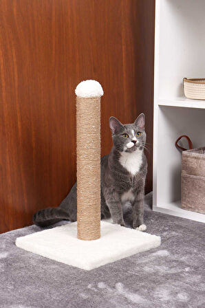 Kedi Tırmalama Tahtası Karışık Renk