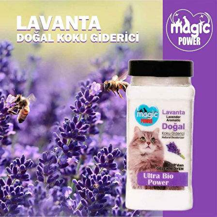 Magic Power Kedi Kumu Koku Giderici Lavanta 175 Gr