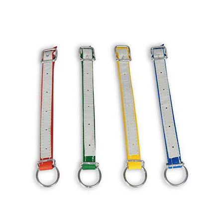 Melasty Küçükbaş Boyun Kayışı Delikli Derili (Kırmızı - 60 cm)