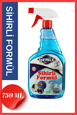 Gemix Sihirli Formül Derz Banyo Ve Duşakabin Temizleyici 750 ml