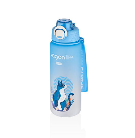 Vagonlife VGN2352 800ml Mavi Matara