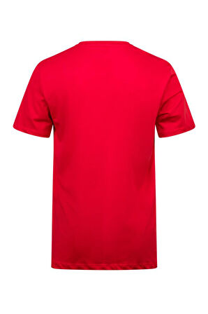 2AS Alex Baskılı Erkek Sıfır Yaka T-Shirt 035