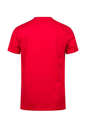 2AS Alex Baskılı Erkek Sıfır Yaka T-Shirt 042