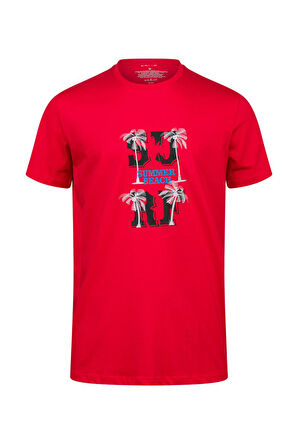 2AS Alex Baskılı Erkek Sıfır Yaka T-Shirt 047