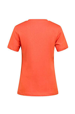 2AS ALONE BASKILI V YAKA KADIN T-SHİRT 404