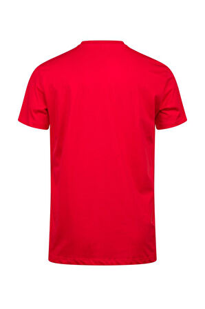 2AS Alex Baskılı Erkek Sıfır Yaka T-Shirt