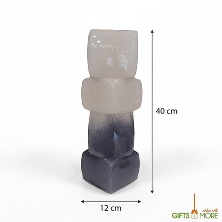 41CM CAM VAZO