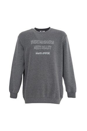 defy's ERKEK BASKILI UZUN KOLLU BİSİKLET YAKA SWEATSHIRT ANTRASİT - L