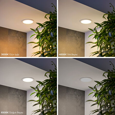 Maxled MX-1006B - 12W 6500K Soğuk Beyaz | Beyaz Kasa Sıva Altı Yuvarlak LED Panel