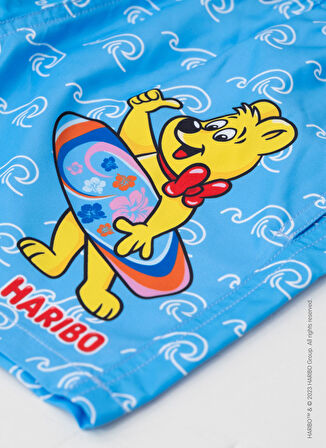 Haribo Mavi Erkek Çocuk Şort Mayo HRBSWM005