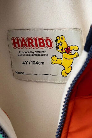 Erkek Çocuk Blok Renkli Kapitoneli Polar Ceket - Turuncu/Çok Renkli | 4 Yaş